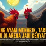 Mengenal SV388: Platform Sabung Ayam Online Terpercaya