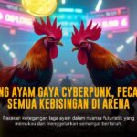 Mengenal Jenis Ayam Bangkok dalam Sabung Ayam SV388