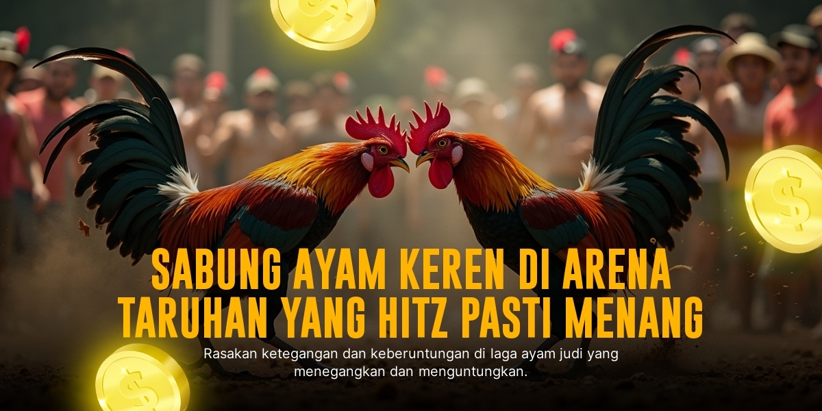 Mengenal Ayam Bangkok: Raja Sabung Ayam dengan Peluang Menang Tinggi