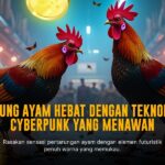 Mengenal Ayam Bangkok: Raja Sabung Ayam yang Mendominasi