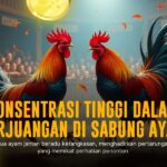 Mengenal Jenis Ayam Bangkok dalam Sabung Ayam SV388